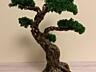 Продам бонсай - интерьерные деревья ручной работы