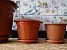 Для растений горшки