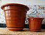 Для растений горшки