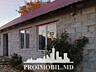 Vă propunem spre vânzare această casă în Anenii Noi, sat. Șerpeni cu .