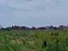 Продам участок в Совиньоне. 80 соток земли( 08.га) Очень хорошее ...