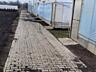 Продам хозяйство с теплицами клубники и садом 4.36 га (г.Раздельная)