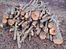 Продам дрова слива яблоня клён акация