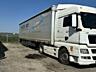Man Tgx 18.480 URGENT!!!