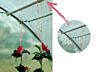 Парники \ Теплицы GardenLine в Kupitut. md