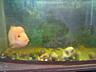 Продаётся аквариум