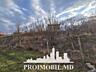 Spre vânzare se oferă teren pentru construcții, situat în Băcioi, ...