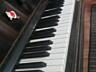 Продам пианино "Украина" в хорошем состоянии, частный дом (1й этаж)