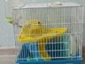 Продам клетку б/у
