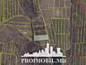 Spre vânzare se oferă teren agricol, situat în Ialoveni, s. Mileștii .