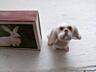 Продаю статуэтки. Две собачки= 160 руб. Вайбер. Телеграмм.