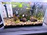 Продам полностью аквариум в комплекте