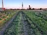 В продаже земельный участок в селе Молодежное рядом с городом ...