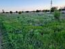 В продаже земельный участок в селе Молодежное рядом с городом ...