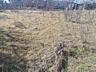 В продаже участок в пригороде города Черноморск кооп. Вишневый сад. ..