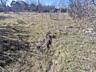 В продаже участок в пригороде города Черноморск кооп. Вишневый сад. ..