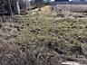 Предлагается участок в удобном месте рядом с действующим ...