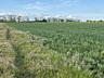 Предлагается к продаже общей участок площадью 7,3 соток в селе ...