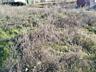 В продаже участок правильной формы в с. Александровка. Участок ...