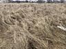 Земельный участок расположен : село Дачное, Беляевского района. Право 