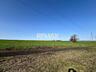 Teren 41,49 ari Ghidighici | deschidere 122 m | agricol | investiție