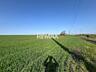 Teren 41,49 ari Ghidighici | deschidere 122 m | agricol | investiție