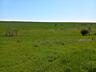 Teren agricol consolidat 5,5 ha!