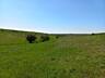 Teren agricol consolidat 5,5 ha!