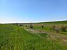 Teren agricol consolidat 5,5 ha!
