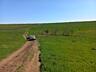 Teren agricol consolidat 5,5 ha!