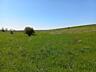 Teren agricol consolidat 5,5 ha!