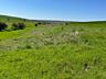Teren agricol consolidat 5,5 ha!