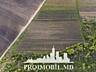 S pre vânzare se oferă teren agricol, situat în Criuleni, sat. ...