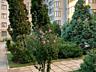 Срочно в продаже большая 3 комнатная квартира в доме элит класса. ...
