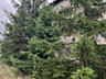 Продам новый капитальный дом в с.Кучурган (Раздельнянский р-н, 70 км .