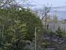 Отличный дом. Светлое с выходом на озеро Госпрограммы да!