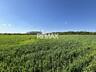 Teren agricol de 24 ari în Ghidighici – aproape de pădure, potrivit pe
