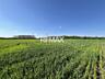 Teren agricol de 24 ari în Ghidighici – aproape de pădure, potrivit pe