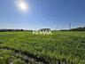 Teren agricol de 24 ari în Ghidighici – aproape de pădure, potrivit pe