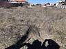 Предлагается к продаже земельный участок площадью 7 соток для ...