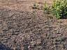 Продажа участка земли 10 соток в с. Молодежное под строительство ...
