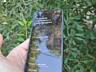 Xiaomi Mi11 Lite 5G NE