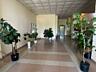 Продажа, Апартаменты, 1 комната, 51 м², ЖК Аркадийский дворец, Гагарин