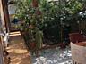 Єксклюзивний будинок в Сухому Лимані