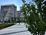 Продам 2-кім. квартири у ЖК Great ( Грейт). 6 будинок, переуступка. ..