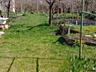 Продам зимнюю дачу в с.Малое возле Хаджибеевского лимана (35 км по ...
