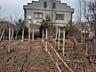 Дом - усадьба в пос. Нати на 50 сотках земли
