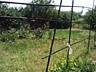 Продам дом в с.Выгода (Беляевский р-н, 35 км от Одессы)