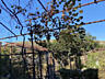 Продам будинок на вул.8 Березня (Більшовик)