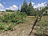 Продам участок со строением в с. Нерубайское/ Нати (район базарчика), 